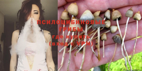 мяу мяу мука Белокуриха