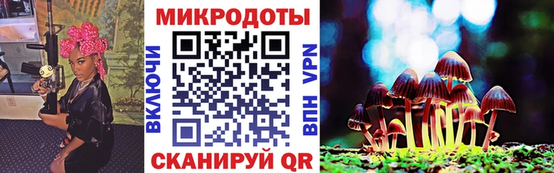 гидра tor  Красково  Галлюциногенные грибы Psilocybe 